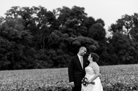 Vandrevala Wedding